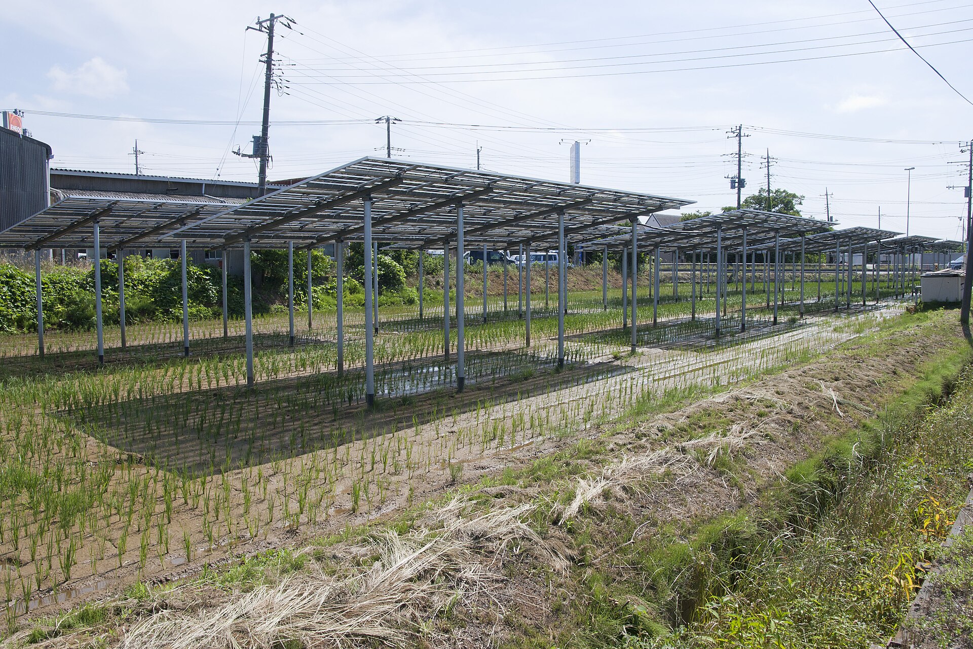 Solar farm